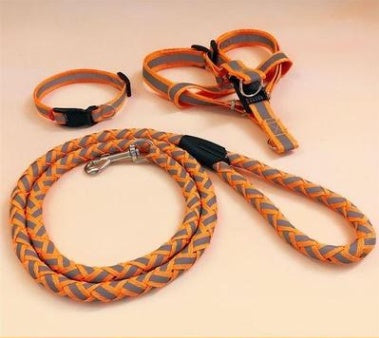 Durable & Comfortable Dog Leash – Safe Walks, Happy Pups!