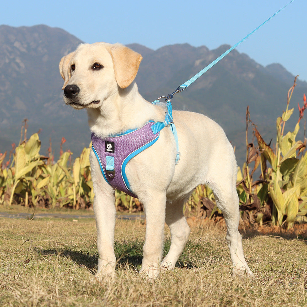 ComfyPaws Breathable & Adjustable Pet Harness with Leash