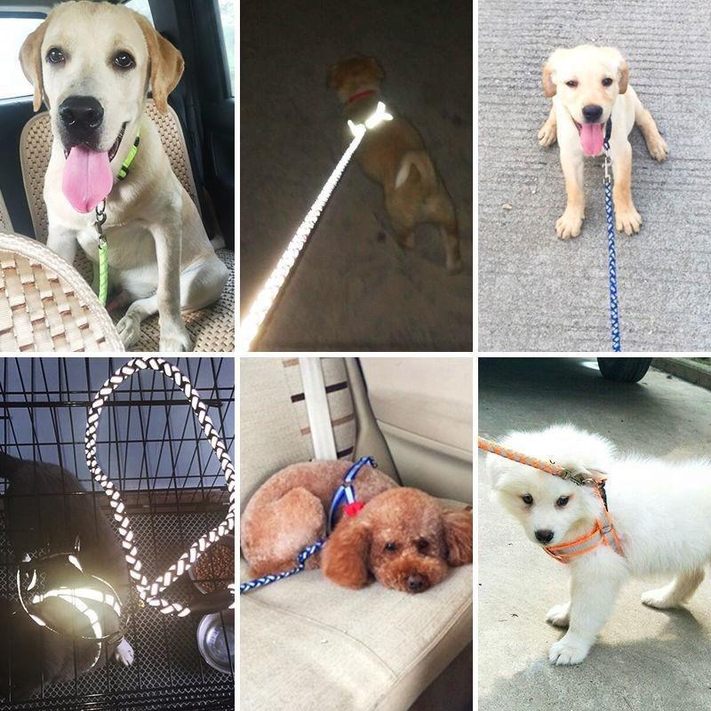 Durable & Comfortable Dog Leash – Safe Walks, Happy Pups!